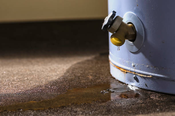 Best Water damage cleanup near me  in Johns Creek, GA