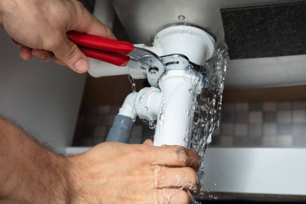 Best Ceiling water damage repair  in Johns Creek, GA