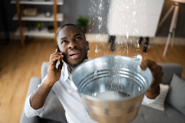 Best Water damage restoration specialists  in Johns Creek, GA