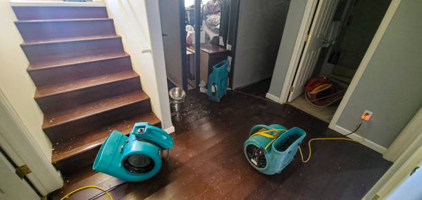 Best Water damage restoration mold remediation  in Johns Creek, GA