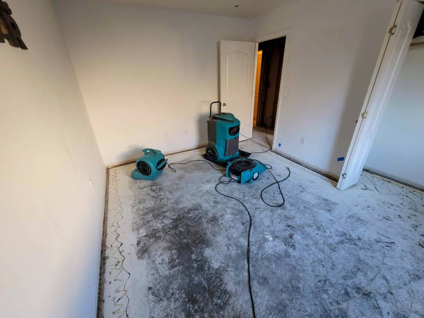 Best 24-hour water damage restoration  in Johns Creek, GA
