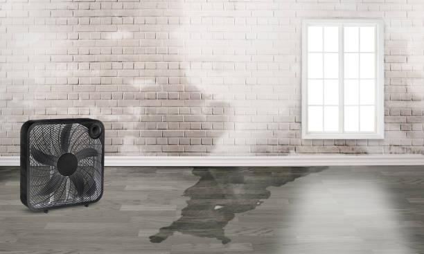 Best Commercial water damage restoration  in Johns Creek, GA