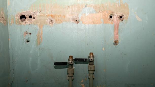 Best Water damage restoration experts  in Johns Creek, GA