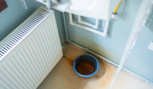 Best Professional water damage repair  in Johns Creek, GA