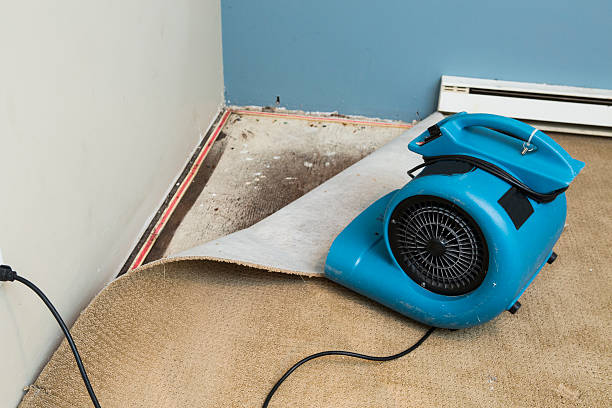 Best Carpet water damage restoration  in Johns Creek, GA